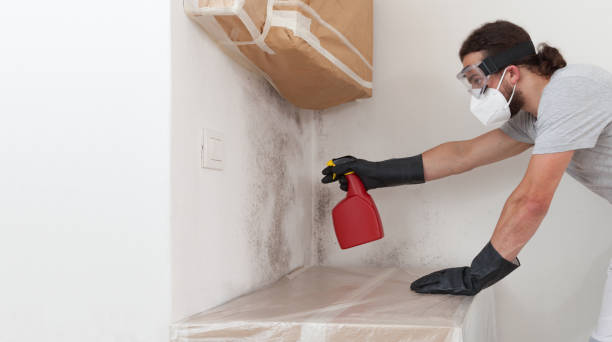 Professional Bathroom Mold Removal technician working in Chester, NJ