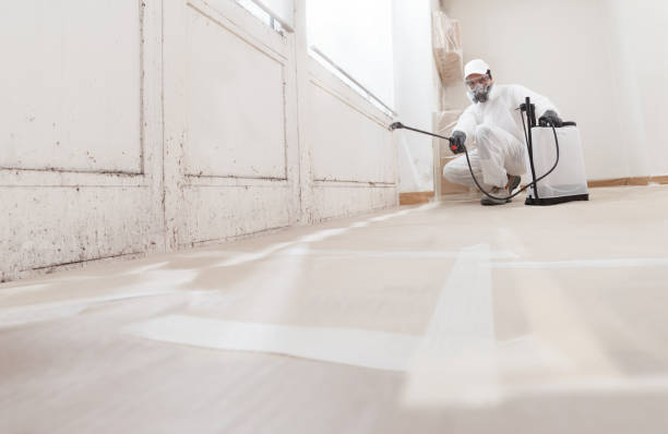 24/7 Emergency Bathroom Mold Removal experts in Chester, NJ